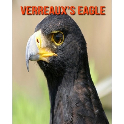 Verreaux''s Eagle: Amazing Facts about Verreaux''s Eagle Paperback, Independently Published, English, 9798552022359