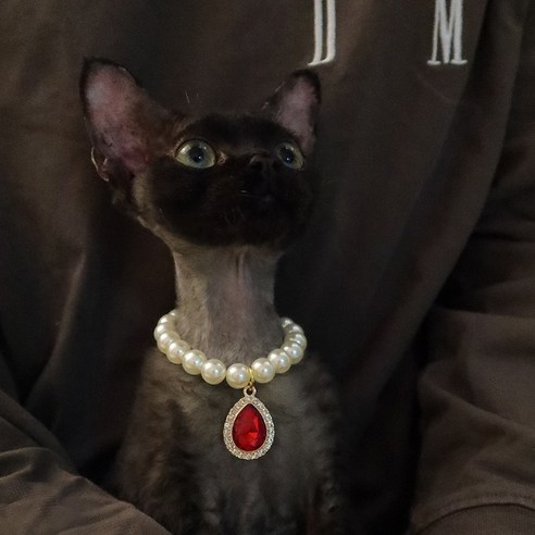 고투마스 고양이 목걸이 반려동물 강아지 애완견 보석 진주목걸이, 레드, 1개