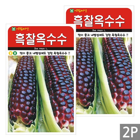세인화분 흑 찰옥수수 20g - 국산 옥수수 씨 씨앗, 2개