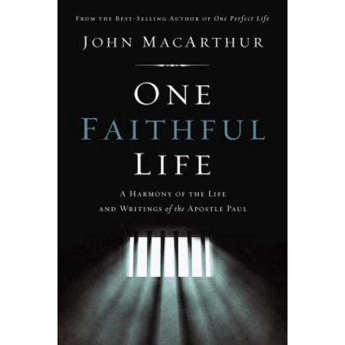 (영문도서) One Faithful Life: A Harmony of the Life and Letters of Paul Hardcover, Thomas Nelson, English, 9780785229261