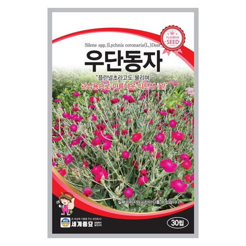 우단동자 씨앗 30립 꽃씨앗 세계종묘 모칸도, 10개