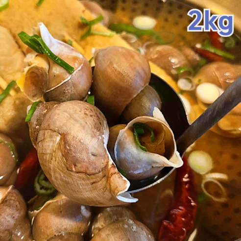 산들상회 자연산 생물 쫄깃한 동해안 활 백고동 백골뱅이 2kg 산지직송, 1박스, 소 2kg (kg당 31-40미내외)