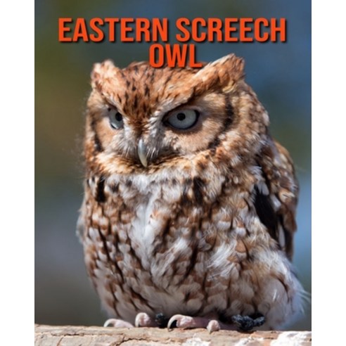 (영문도서) Eastern Screech Owl: Beautiful Pictures & Interesting Facts Children Book About Dwarf Eastern... Paperback, Independently Published, English, 9798515341015