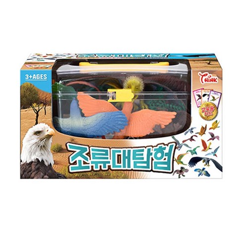 씽크토이 조류 대탐험, 단일/상품