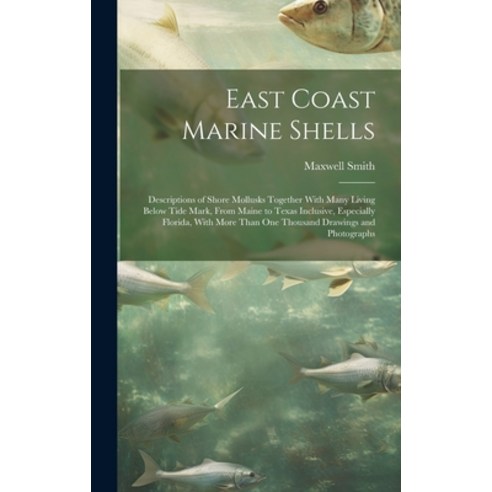 (영문도서) East Coast Marine Shells: Descriptions of Shore Mollusks Together With Many Living Below Tide... Hardcover, Legare Street Press, English, 9781022891500
