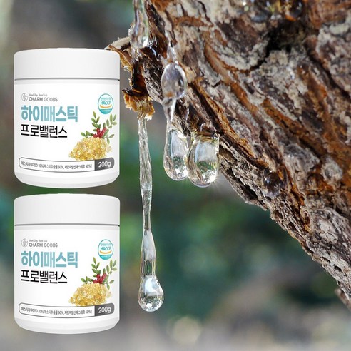 식약청인증 매스틱유산균 그리스산 추출물 199.9g 2개입, 테르펜 분말 가루 함유, 해썹 위유산균 매스틱검