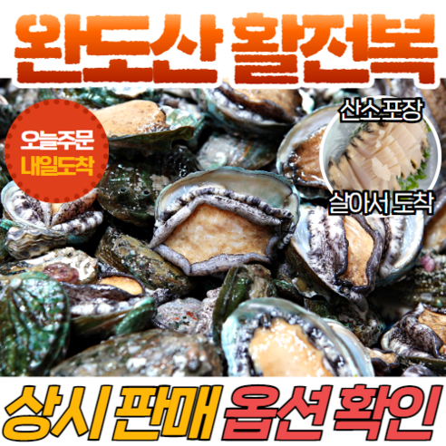 1kg 완도산 활 전복 생물 발송, 산소 포장, 살아서 도착 [소사이즈 21~23미] 전복1kg