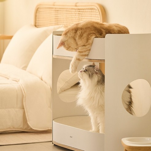 좁은 공간에도 냥이에게 행복을 선물하는 미니 캣타워