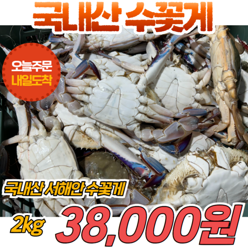 [당일출고] 국내산 제철 수꽃게 2kg 7미 내외, 1박스