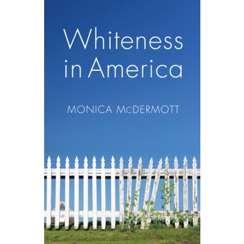 Whiteness in America Paperback, Polity Press