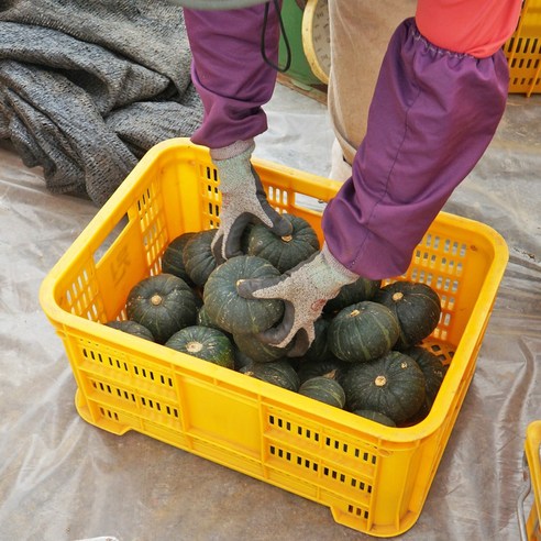 고씨곳간 제주 미니단호박 3/5/7/10kg, 5kg(9-15개), 1개