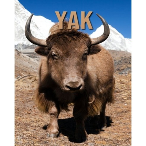 Yak: Incredible Pictures and Fun Facts about Yak Paperback, Independently Published