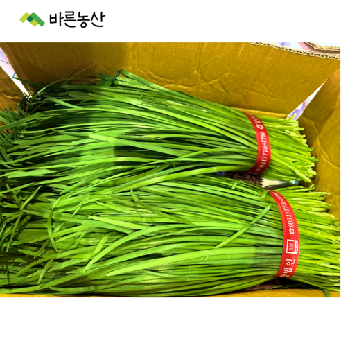 < 바른농산 > 당일수확 국내산 부추 2kg 4kg, 1개”> <h3>< 바른농산 > 당일수확 국내산 부추 2kg 4kg, 1개</h3> <p class=