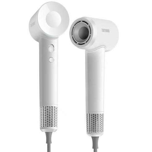 TAEYOUNG 초고속 헤어 드라이어 1600W BLDC항공 모터 110000rpm 음이온 드라이기 LG-02, 화이트