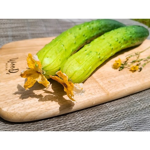 신선한 오이로 쉽고 간편하게 즐기는 여름 오이지