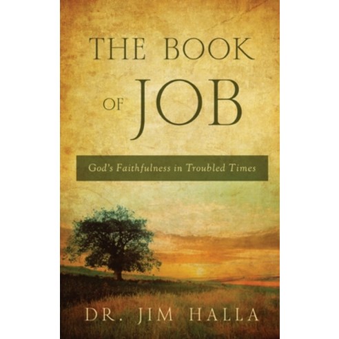 (영문도서) The Book of Job: God''s Faithfulness in Troubled Times Paperback, Ambassador International, English, 9781620207314