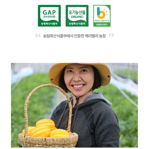 최상의 품질의 달콤한 여름 선물, 경성농부 프리미엄 성주참외