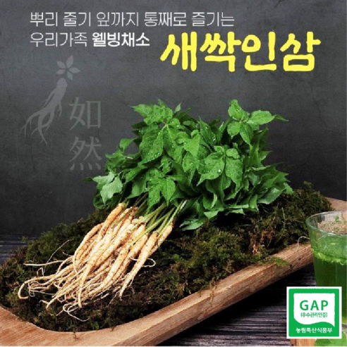 통째로 먹는 여연새싹인삼 (GAP 인증) 50뿌리/100뿌리, 실속형 50 뿌리 x 1박스, 1박스
