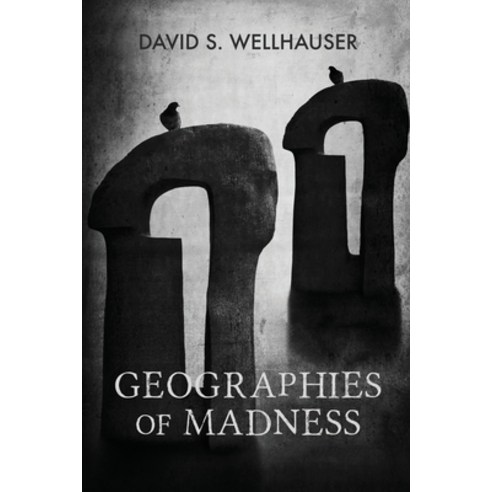 (영문도서) Geographies of Madness Paperback, Independently Published, English, 9798587499201