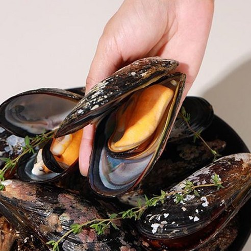 자연산 홍합을 즐겨보세요