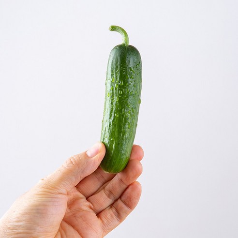 아삭한 국내산 미니오이 4kg, 1개, 4kg