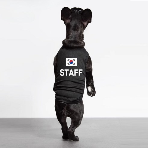 버닝오스 강아지 스태프 스탭 유니폼 티셔츠 반려동물 옷, 블랙 일반, 1개