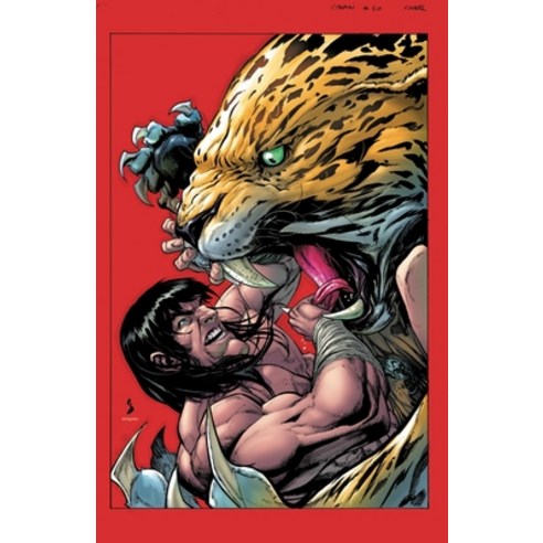 Conan the Barbarian by Jim Zub Vol. 2 Paperback, Marvel, English, 9781302920968