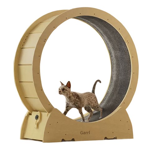 Garrl 고양이 캣휠은 간단한 설치로 소음을 최소화한 반려동물 운동기구입니다.