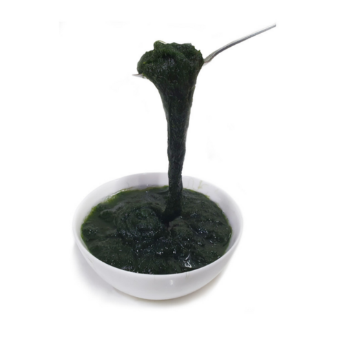 [굿피플] 매생이 생매생이 메생이 완도매생이 [매생이 3재기 (급랭)], 1개, 1.05kg