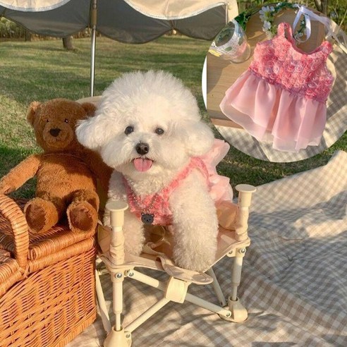 지지주 폼폼 레이스 강아지옷 고양이옷 반려견옷 반려묘옷, 1개, 핑크