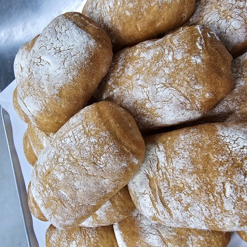 건강한 일상을 위한 완벽한 선택