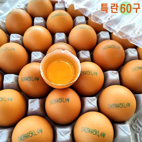 [오늘낳은 달걀] HACCP농가 에그트리 생계란, 60구, 1개