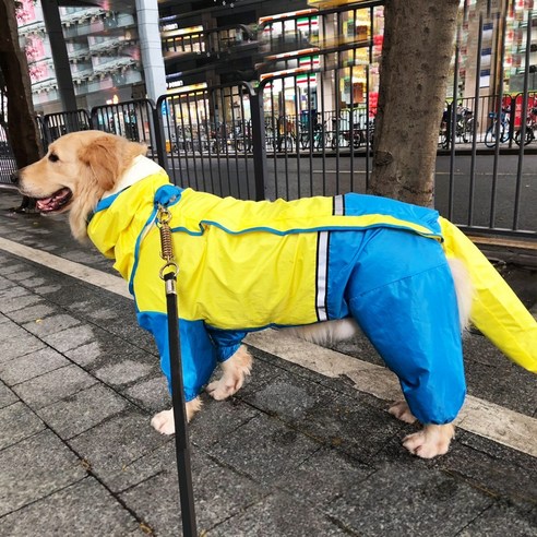 대형견 개우비 강아지 진돗개 리트리버 허스키 우비 장마철 비오는날 산책 댕댕이 레인코트, C