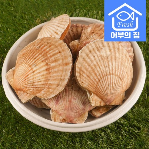 신선하고 맛있으며 영양가 풍부한 어부의집 제철 대왕 가리비