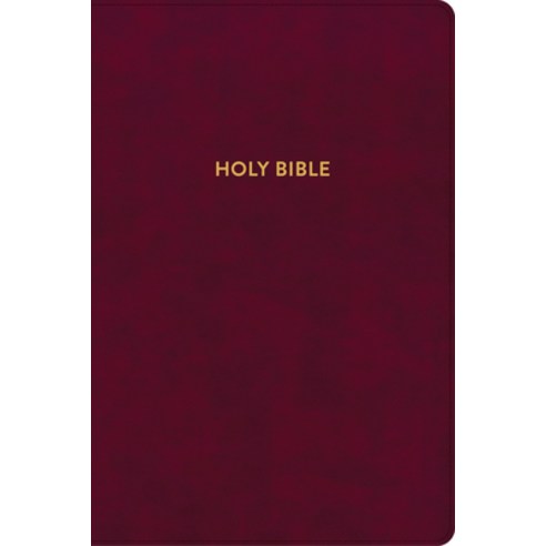 (영문도서) KJV Rainbow Study Bible Burgundy Leathertouch Indexed Imitation Leather, Holman Bibles, English, 9781087782744