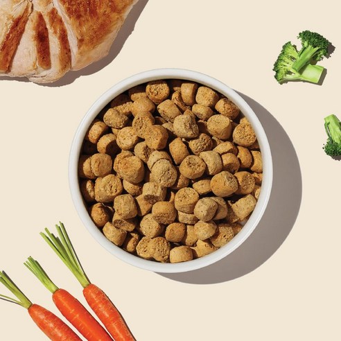 긁고 핥는 강아지 피부 고민, 디어니스트키친 그레인프리 치킨으로 해결!