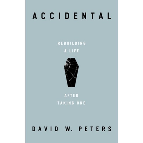 (영문도서) Accidental: Rebuilding a Life After Taking One Hardcover, Broadleaf Books, English, 9781506487168