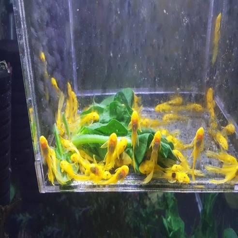 청소의 질을 높여주는 완벽한 도구