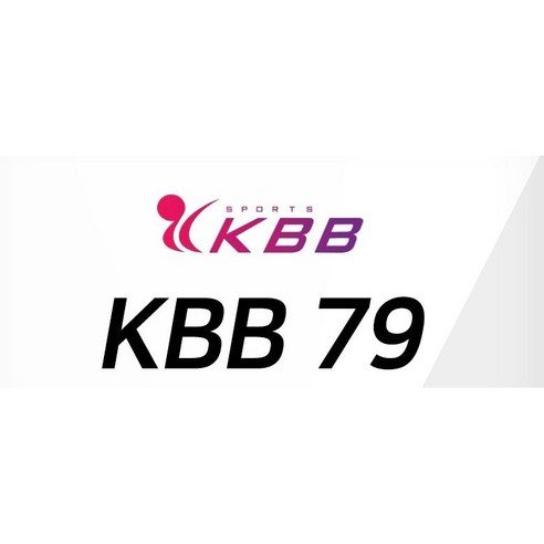 KBB79 셔틀콕: 당신의 플레이를 한 단계 끌어올리다
