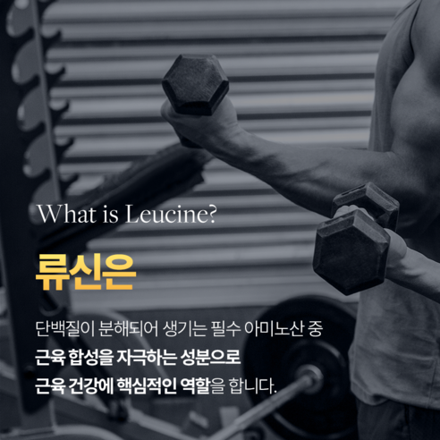 피로 완화, 활력 증진, 성적 성과 향상