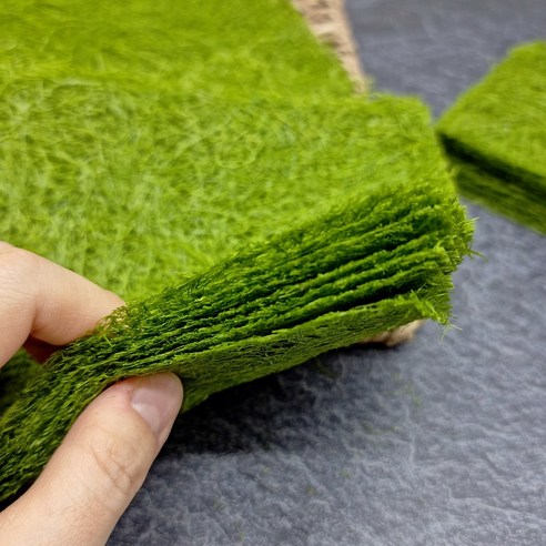 바다 향 가득한 밥상, 건강과 맛을 한 번에!