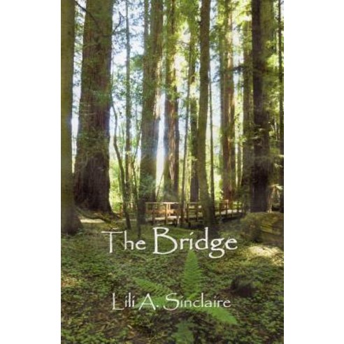 (영문도서) The Bridge Paperback, Createspace Independent Pub..., English, 9781535548632