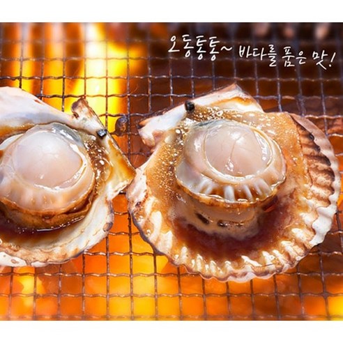 통영 제철 세척 가리비 1kg, 1개