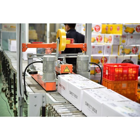 당일 수확의 달콤한 유혹: 성주참외