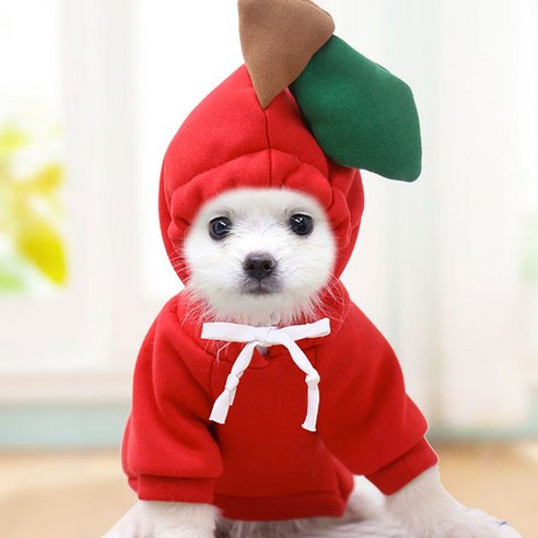 따뜻한 과일 모형 강아지 겨울 옷 후드 스웨터 애견의상 WI054DG, 빨간 사과, 2개