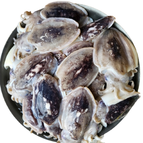 [잇팅나우ㅣ인기상품] 맛있는 해산물 요리에 완벽한 손질된 갑오징어 [EatingNOWㅣ추천상품]