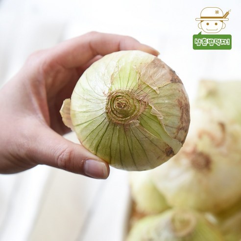 삼촌밥먹자 [삼촌농장] 21년 수확 신선한 무안 햇 양파(특) 3kg 5kg 10kg