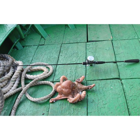 바다의 신비로운 생물들과 함께하는 잊지 못할 낚시 경험