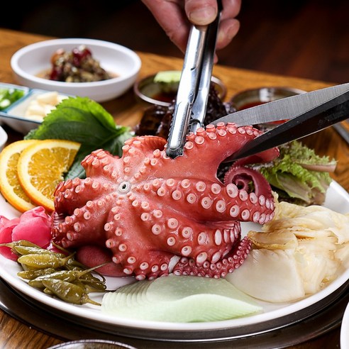 동해안 자숙참문어 제수용 문어, 1개, 3kg(자숙후 1.8~2.1kg내외)