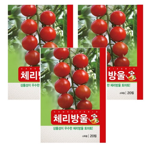 체리방울토마토 씨앗 종자, 3개